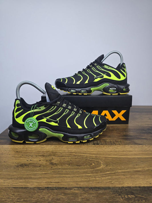 NIKE PATIKE TN Pacific Moss