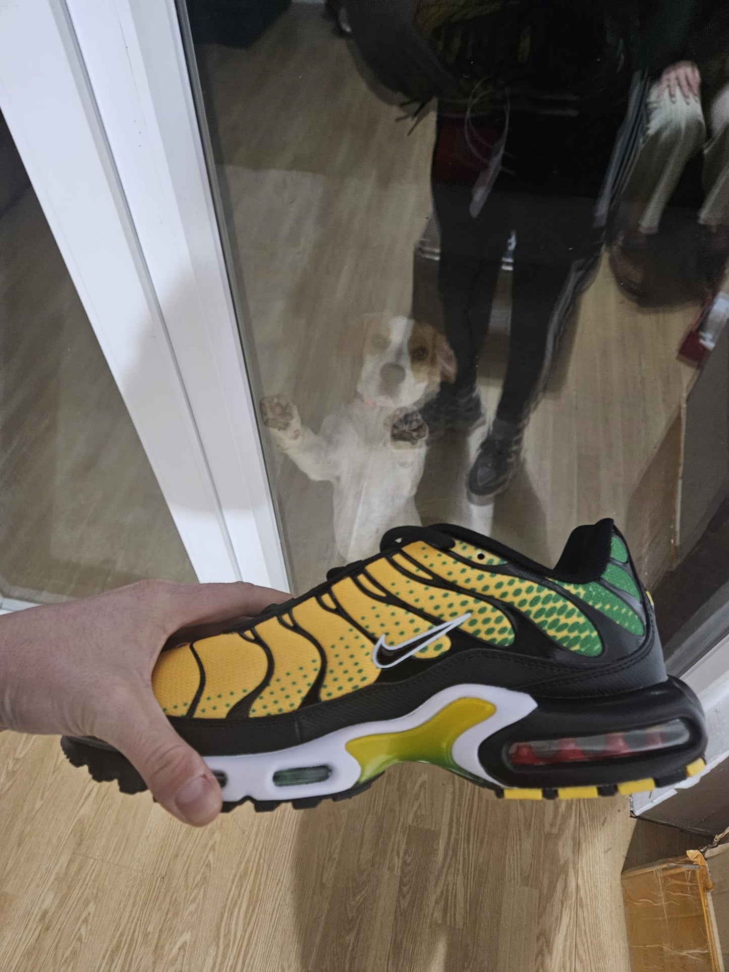 NIKE PATIKE TN Jamaica Pine Green