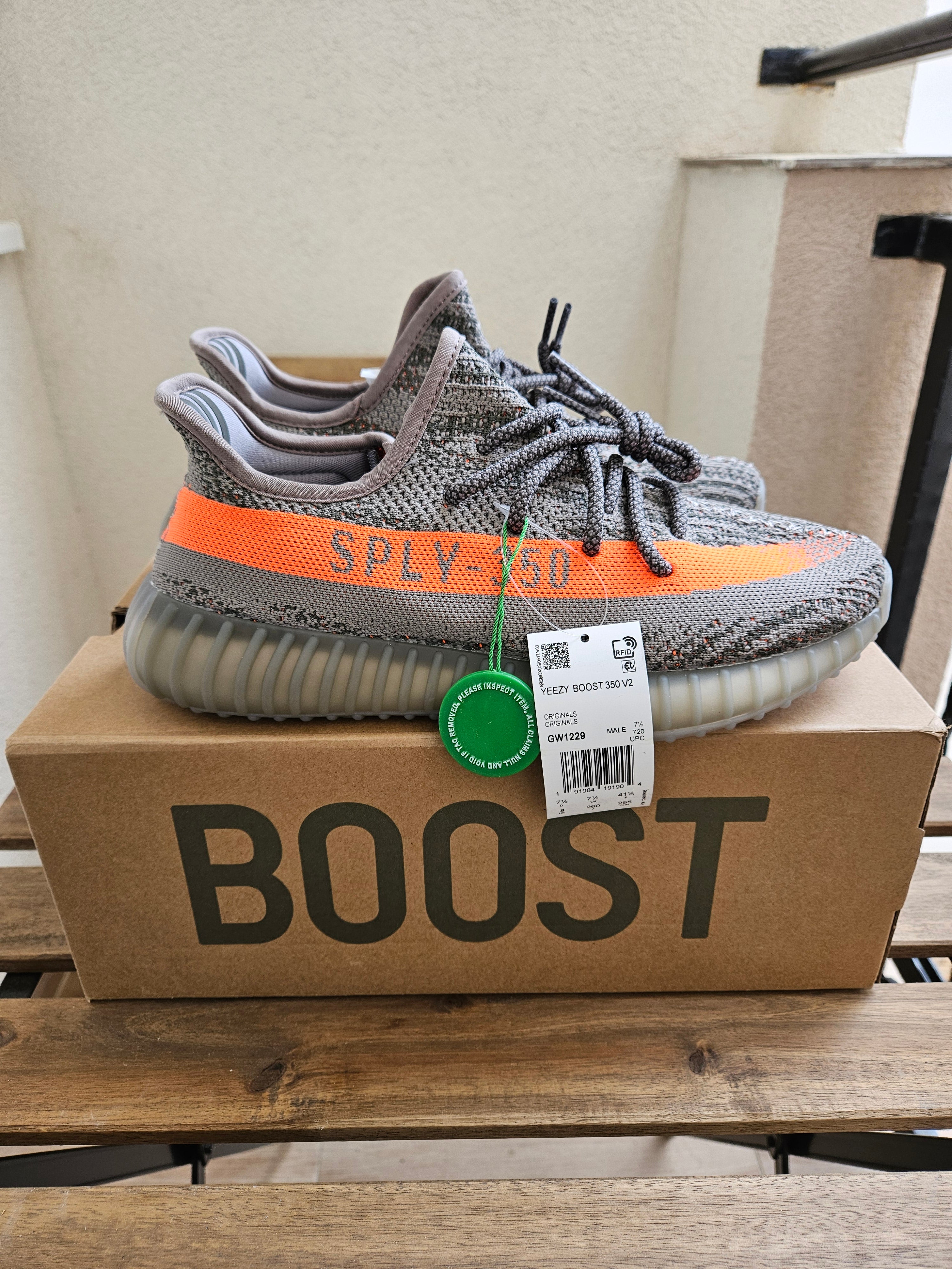 ADIDAS PATIKE Yeezy Beluga