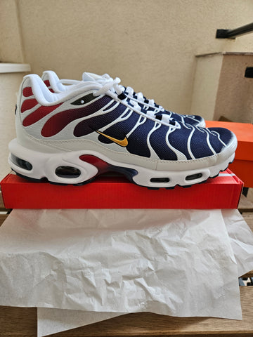 Nike TN PSG